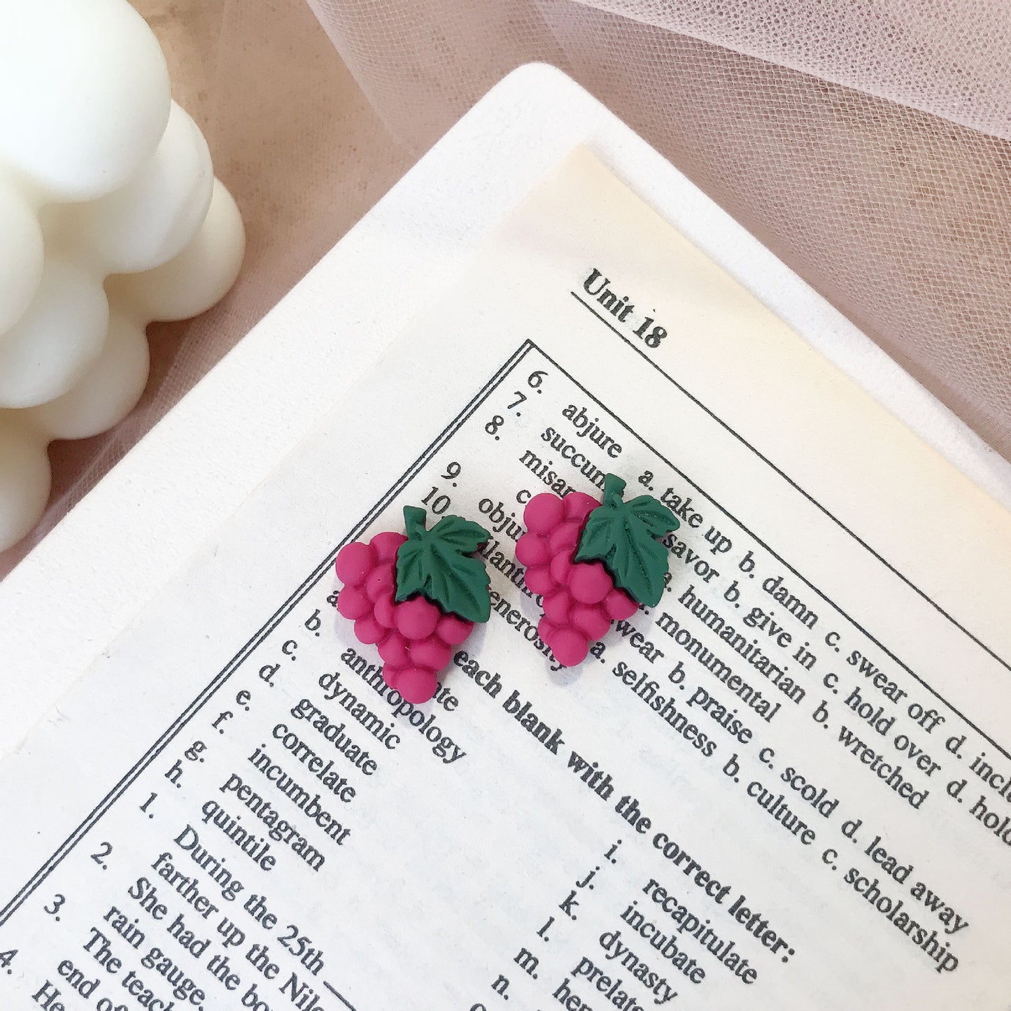 Resin Cute Fruit Party Earrings (Minimo de Compra 2) MYA-JiX049