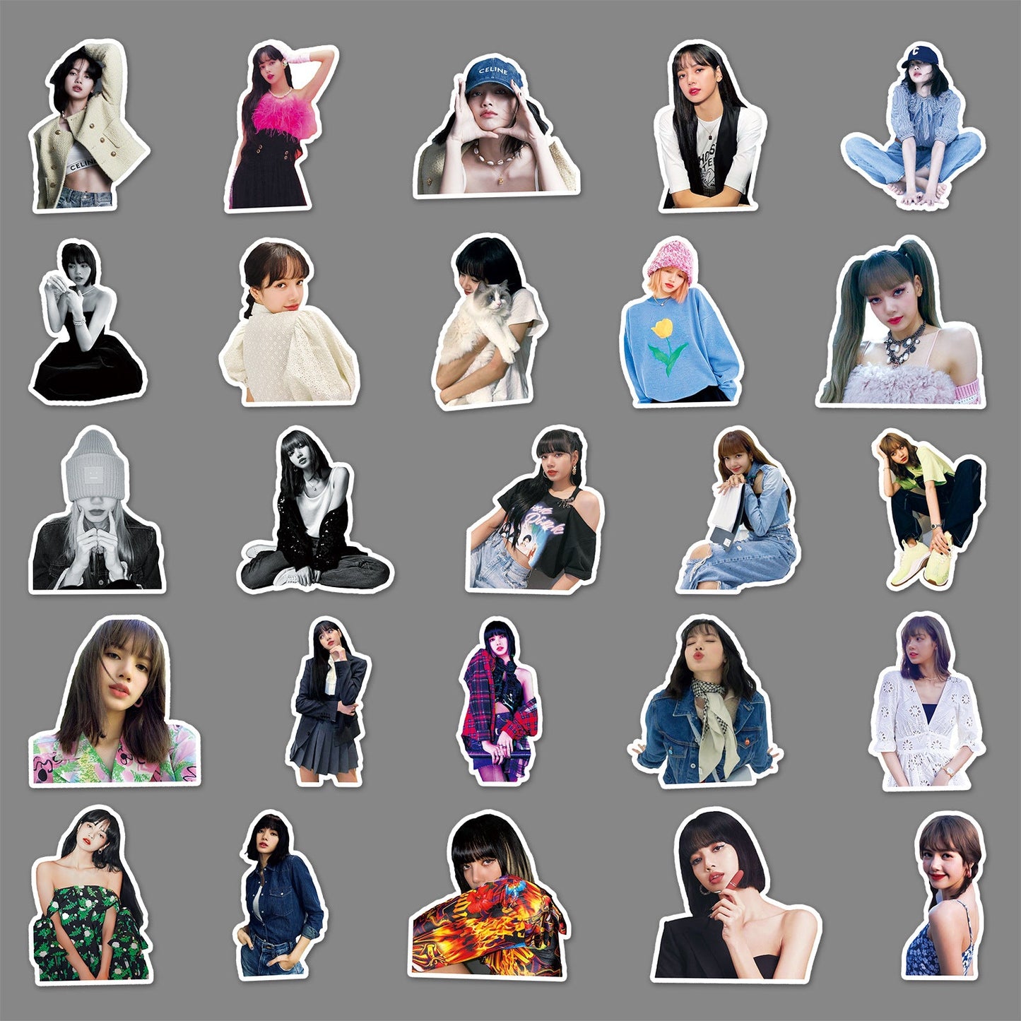 PVC Lisa women's luggage stickers MIC-WanM008