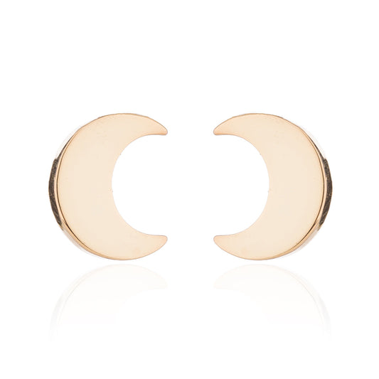 Stainless Steel Moon Earrings SS016